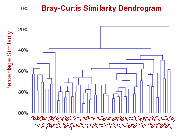 Bray-Curtis dendrogram