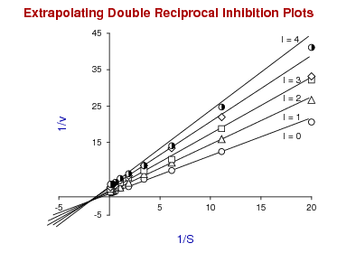 Extrapolating double reciprocal inhibition plots